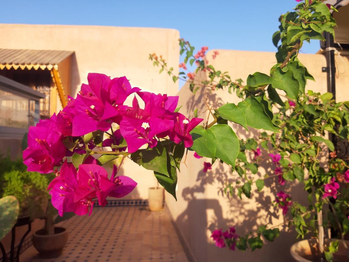 Riad Miral Marrakesh Buitenkant foto