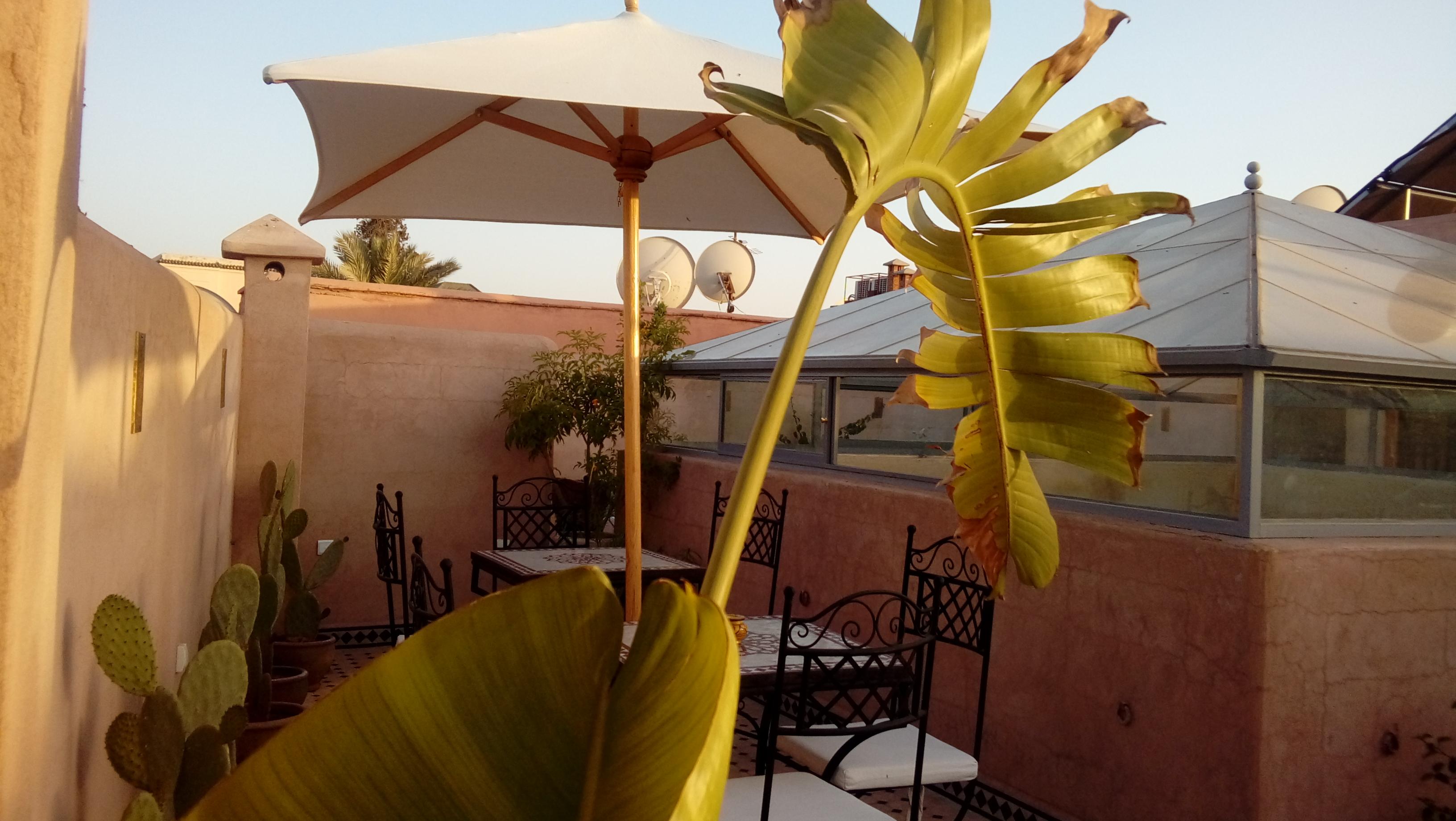 Riad Miral Marrakesh Buitenkant foto